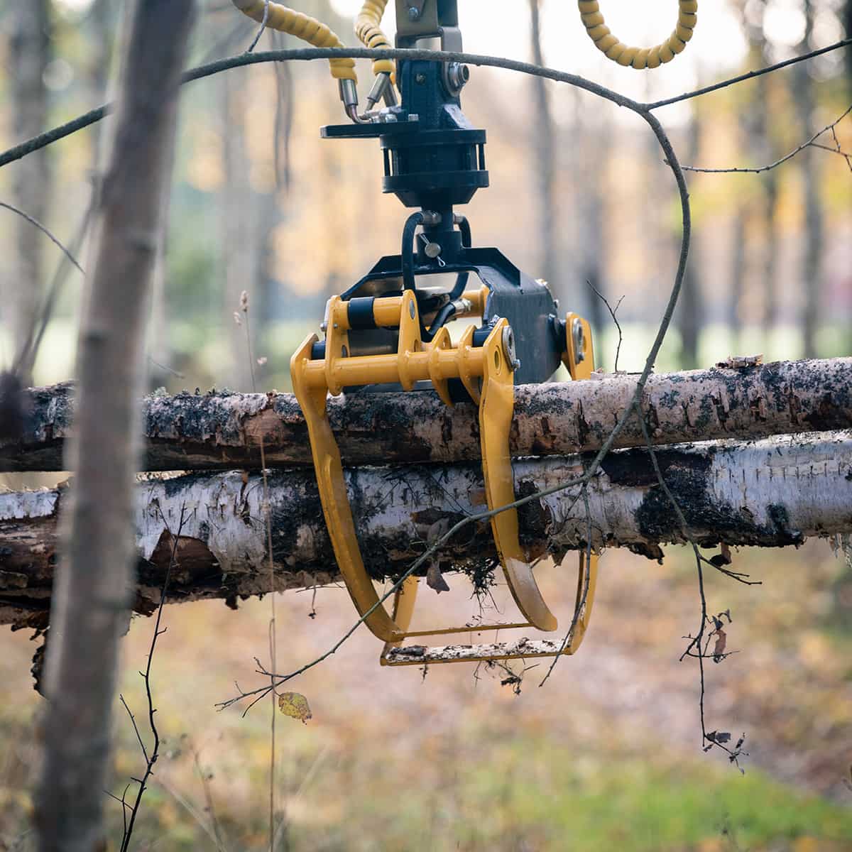 Skogsvogn ATV FT36DFR-2T