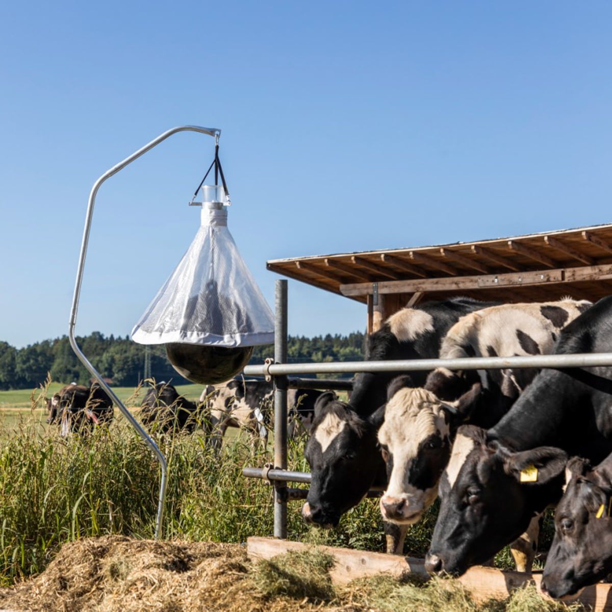 Bremsfelle TaonX med stativ