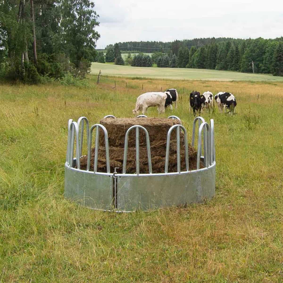 Fôrhekk med bogbøyler for storfe, 12 plasser