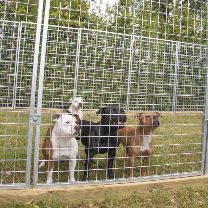 Hundegård Medium, 11+1 seksjoner
