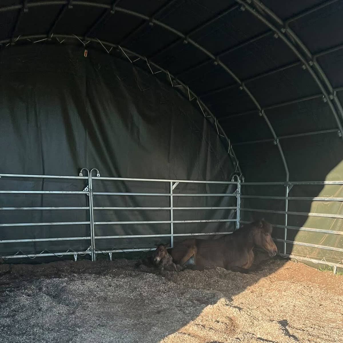 Leskur 6 x 6 m
